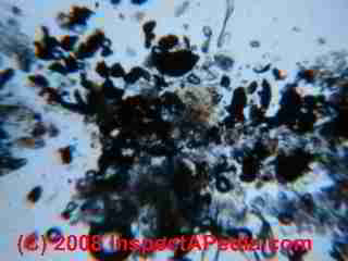 Paint lab Photograph of sample of failed paint